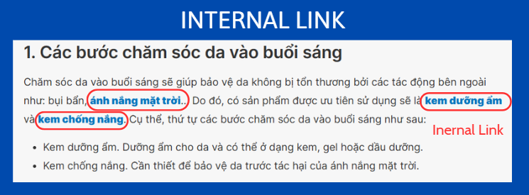 Internal Link là gì
